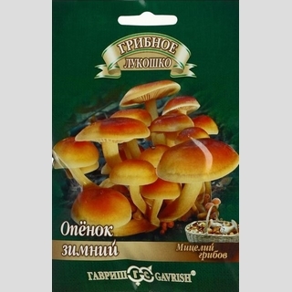 Грибы - Опенок зимний на древесной палочке (большой пакет)