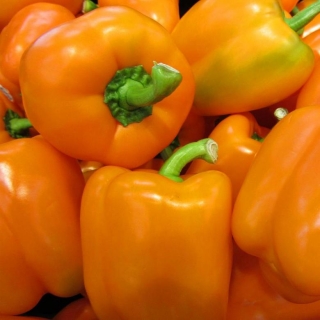 Перец Оранжевый бык