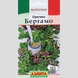 Орегано Бергамо (душица)