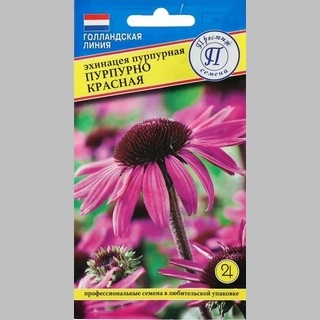 Эхинацея Пурпурно-красная (пурпурная)