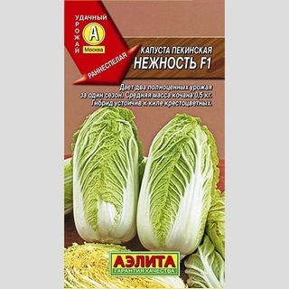 Капуста Нежность F1 (пекинская)
