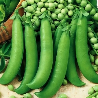 Горох Медовик (большой пакет)