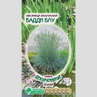 Овсяница Бадди Блу валлисская