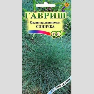 Овсяница Синичка декоративная (сизая ледниковая)