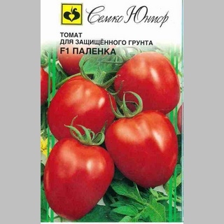 Томат Паленка F1
