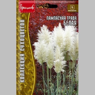 Пампасная трава Белая (большой пакет)