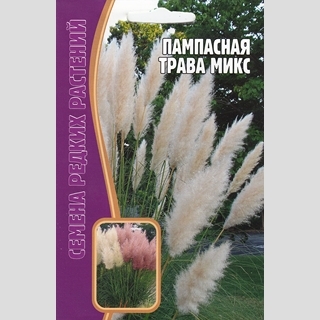 Пампасная трава Микс (большой пакет)