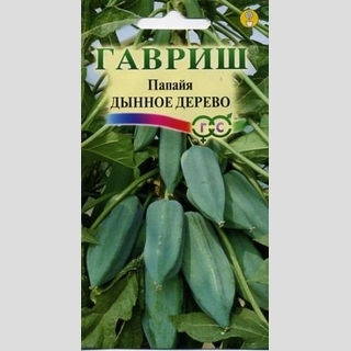 Папайя Дынное дерево