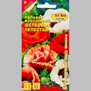 Папавер Шёлковые лепестки (мак восточный)