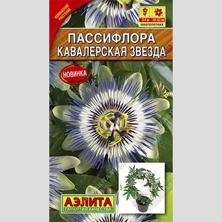 Пассифлора Кавалерская звезда