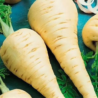 Пастернак Кулинар