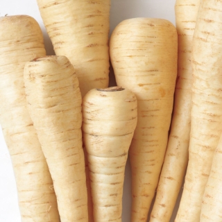 Пастернак Пломбир