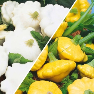 Патиссон Деликатес смесь