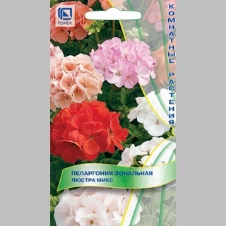 Пеларгония Люстра микс зональная