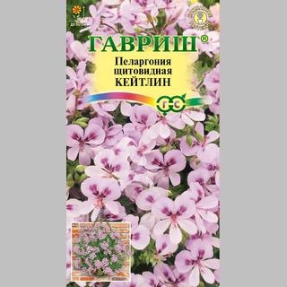 Пеларгония Кейтлин (ампельная)
