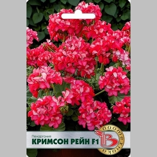 Пеларгония Кримсон Рейн F1
