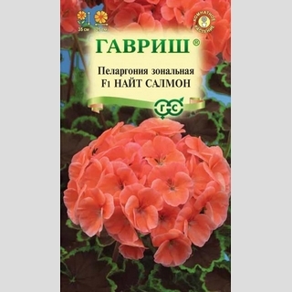 Пеларгония Найт Салмон F1