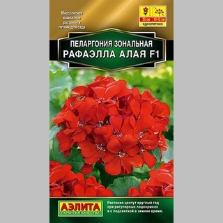 Пеларгония Рафаэлла F1 алая