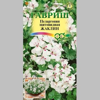 Пеларгония Жаклин (ампельная)
