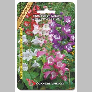 Пенстемон Кобо Свадебные Колокольчики смесь