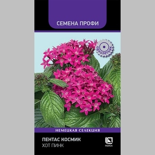 Пентас Космик Хот Пинк (Семена Профи)