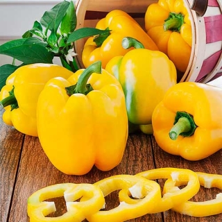 Перец Куб желтый