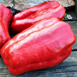 Перец Aмериканская Корона (American Crown) (большой пакет)