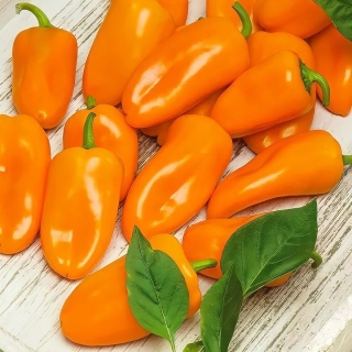 Перец Балконный лисенок F1