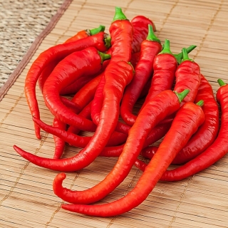 Перец Бараний рог