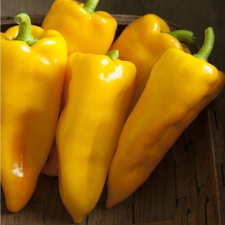 Перец Бухгалтер