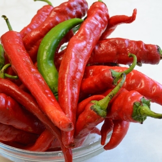 Перец Жгучий испанец (острый)