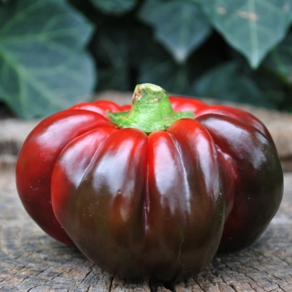 Перец Гогошары