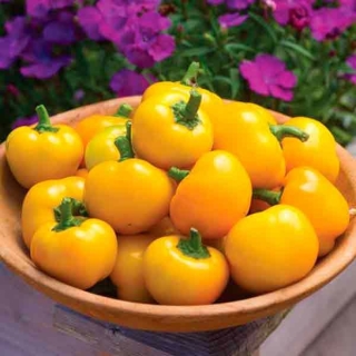 Перец Конфетка Желтая