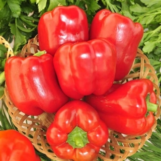 Перец Красное чудо