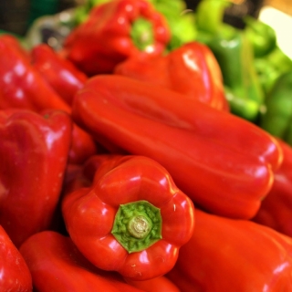 Перец Красный подснежник F1