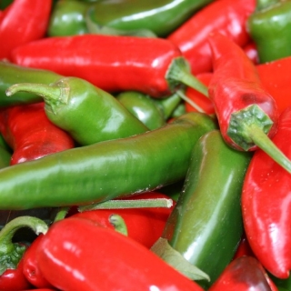 Перец Алексинский