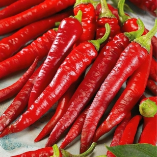 Перец Молния красная F1