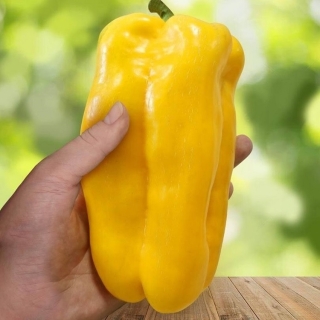 Перец Рубик F1