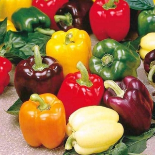 Перец Детская забава смесь