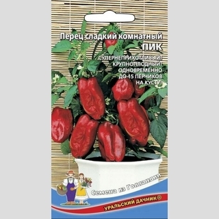 Перец Пик комнатный