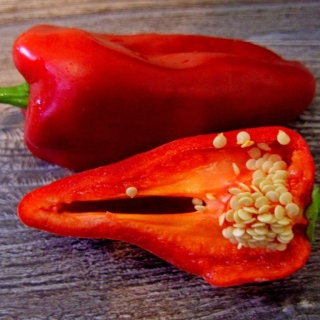 Перец Столбовая дворянка