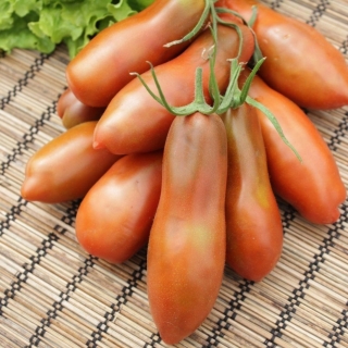 Томат Перцевидный Шоколадный