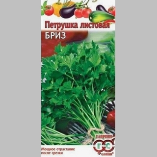 Петрушка Бриз листовая