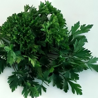 Петрушка Универсальная (листовая)