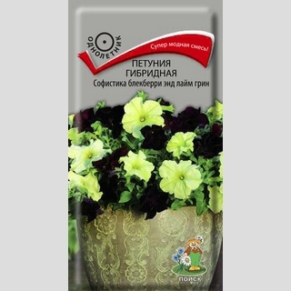 Петуния Софистика F1 Блекберри энд Лайм Грин