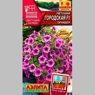 Петуния Городская F1 Орхидея