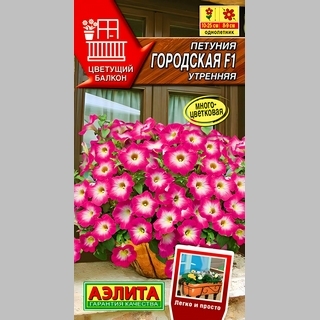 Петуния Городская F1 Утренняя