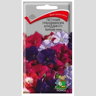 Петуния Аладдин F1 Арабские ночи