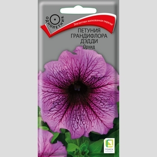 Петуния Дэдди Орхид