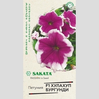 Петуния Хулахуп бургунди F1